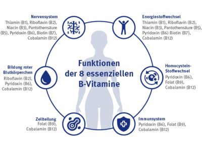 Vitamin B – Warum Es Sinn Macht, An B- Vitamine Zu Denken – BILANCUR ...